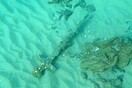 Sharp-eyed diver finds crusader’s ancient sword on Israeli seabed