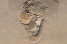 New Research Suggests Human-Like Footprints in Crete Date to 6.05 Million Years Ago