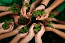 Η Aluminco φυτεύει 1000 δένδρα στα Οινόφυτα