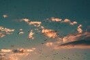 Σωρείτες, θύσανοι και μελανοστρώματα ή αλλιώς σύννεφα: Οδηγός νεφών από τον Κώστα Λαγουβάρδο 