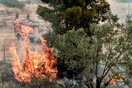 Πολύ υψηλός κίνδυνος πυρκαγιάς σε Αττική, Στερεά Ελλάδα, Πελοπόννησο, Κρήτη, Β. Αιγαίο