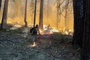 Γιγαντώθηκε η φωτιά κοντά στο Εθνικό Πάρκο Yosemite - Εκκενώσεις και καταστροφές