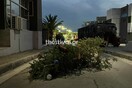 Θεσσαλονίκη: Βόμβες μολότοφ κατά των ΜΑΤ στην πύλη εμπορίου της ΔΕΘ