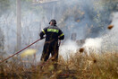 Κρήτη: Πυρκαγιά έκανε στάχτη 20 στρέμματα 