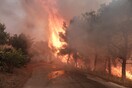Πυρκαγιές: Μάχη με τις φλόγες σε Δερβένι και Φθιώτιδα λόγω των ισχυρών ανέμων 