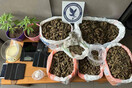 Τρίπολη: Συνελήφθη γνωστός στιχουργός– Εμπλέκεται σε κύκλωμα που διακινούσε κάνναβη και κοκαΐνη