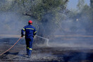 Ηράκλειο: Τράκαραν με κλεμμένο αυτοκίνητο μια ελιά και άρπαξε φωτιά ο ελαιώνας