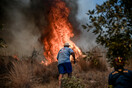 Φωτιά στον Κουβαρά: Κάηκε το καταφύγιο Fazoo Farm στο Λαγονήσι