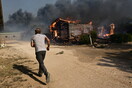 Φωτιά στον Κουβαρά: Εισαγγελική έρευνα για τα ζώα που κάηκαν στο ιδιωτικό καταφύγιο στο Λαγονήσι
