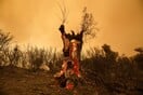 Φωτιά στη Ροδόπη: Νέα αναζωπύρωση - Μήνυμα του 112 για εκκένωση περιοχών