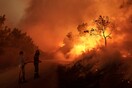 Κομισιόν: Η φωτιά στον Έβρο είναι η μεγαλύτερη που έχει καταγραφεί στην ΕΕ