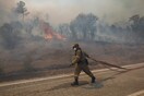 Τα 13 μέτρα στήριξης για τους πυρόπληκτους από τη φωτιά στον Έβρο