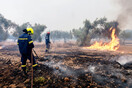 Μάχη με τις αναζωπυρώσεις στον Έβρο- Για 12η μέρα καίει η φωτιά στο δάσος της Δαδιάς