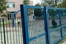 Θηριωδία σε δημοτικό σχολείο στη Λέσβο- Έριξαν φόλα σε σκύλο μέσα σε σχολείο
