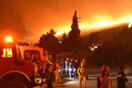 Υπό έλεγχο η φωτιά στη Ζάκυνθο - Κάηκαν πάνω από 170 στρέμματα δάσους