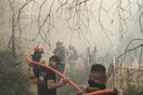 Χωρίς ενεργό μέτωπο η φωτιά στην Εύβοια - Παραμένουν στην περιοχή οι δυνάμεις της Πυροσβεστικής