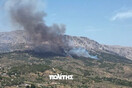 Χίος: Η φωτιά έκαψε 270 στρέμματα κυρίως πευκοδάσους