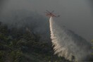 Φωτιά τώρα στους Μολάους: Μεγάλη κινητοποίηση της Πυροσβεστικής - Επιχειρούν 6 εναέρια μέσα