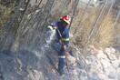 Φωτιά στη Μεγαλόπολη κοντά στο ορυχείο της ΔΕΗ – Mήνυμα του 112
