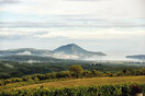 Messinia Terroirs