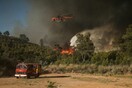 Πολύ υψηλός κίνδυνος πυρκαγιάς αύριο σε οκτώ περιοχές - 42 φωτιές το τελευταίο 24ωρο