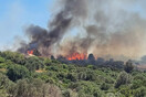 Φωτιά στην Χίο: Βελτιωμένη εικόνα από το μέτωπο - Συνεχίζονται οι προσπάθειες κατάσβεσης