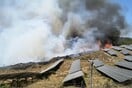 Φωτιά στη Ζάκυνθο: Καίγεται αγροτοδασική έκταση στην περιοχή Αγαλάς