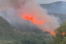 Φωτιά στη Μεταμόρφωση Μεσσηνίας