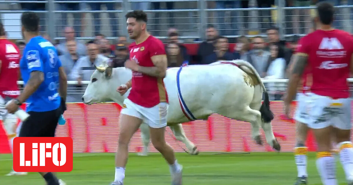 Chaos sur un terrain de rugby en France – Un flic est entré sur le terrain