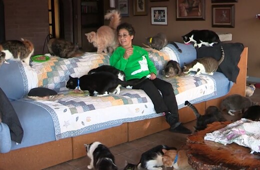 Η γυναίκα που μοιράζεται το σπίτι της με 1100 γάτες