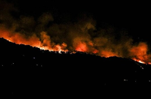 Φωτιά στην Εύβοια: Μάχη με τις φλόγες, εκκενώσεις χωριών και Πυροσβέστες απ' όλη την Ελλάδα στο μέτωπο
