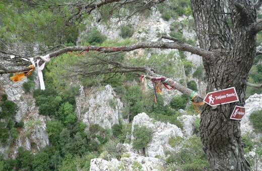 Πάρνηθα: Εντοπίστηκαν οι τέσσερις που είχαν χαθεί στο σπήλαιο Πανός - Συνεχίζεται η έρευνα για τον πέμπτο