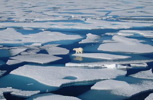 Ποιο θα είναι το μέλλον του Αρκτικού Ωκεανού μετά το λιώσιμο των πάγων;
