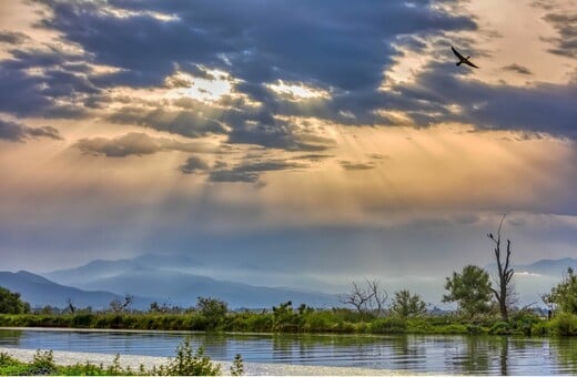 Επιστολή WWF για τις περιοχές Natura