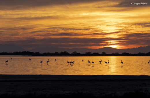 Η ομορφιά των ελληνικών περιοχών Natura 2000 σε 40 εντυπωσιακές φωτογραφίες