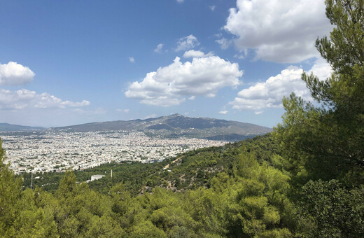 H Αττικό Μετρό απαντά στο Παρατηρητήριο Αστικού Πρασίνου για τα δέντρα που θα κοπούν