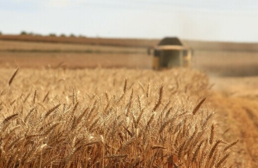 Υπέγραψαν συμφωνία για τα σιτηρά Ουκρανία-Ρωσία -Ελπίδες ότι θα πέσουν οι τιμές