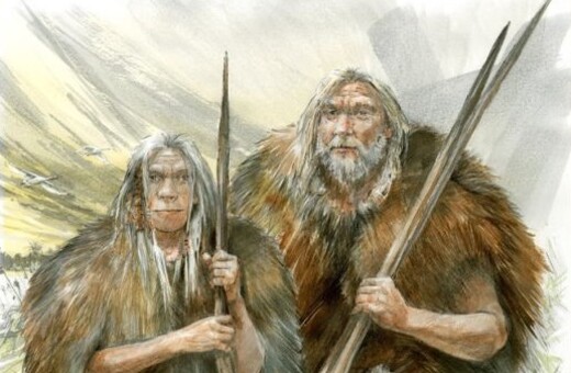 Οι άνθρωποι της Λίθινης Εποχής φορούσαν γούνα αρκούδας πριν από 300.000 χρόνια