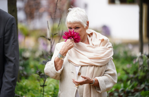 Η Τζούντι Ντεντς μυρίζει ένα λουλούδι