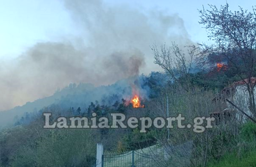 Φθιώτιδα: Μεγάλη φωτά στη Μενδενίτσα – Άνεμοι 6 μποφόρ