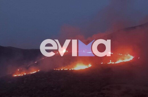 Φωτιά στο Αλιβέρι της Εύβοιας - Σε κοντινή απόσταση από εργοστάσιο της ΔΕΗ