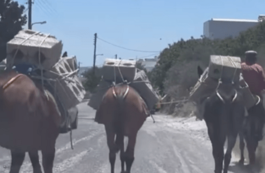 Μουλάρια κουβαλούν τσιμεντόλιθους παρά τον καύσωνα «Κλέων» 