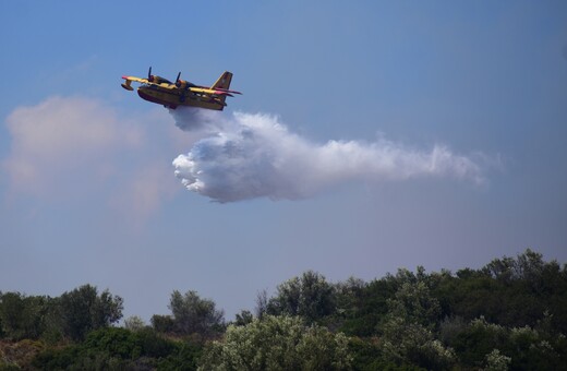 Φωτιά τώρα στην Βοιωτία - Εννιά εναέρια μέσα κάνουν ρίψεις νερού