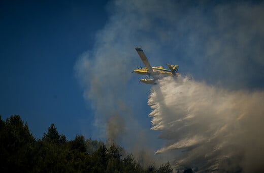 Φωτιά τώρα στα Φάρσαλα - Σηκώθηκαν αεροσκάφη