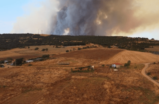 Φωτιά στην Αλεξανδρούπολη: Μπαράζ μηνυμάτων για εκκενώσεις- Σε επιφυλακή το αεροδρόμιο