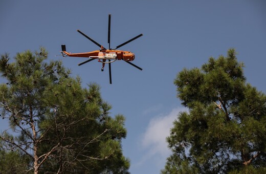 Φωτιά στην Αλεξανδρούπολη: Ανεξέλεγκτο το πύρινο μέτωπο- Σηκώθηκαν ξανά εναέρια μέσα