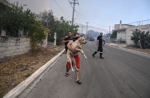 Φωτιά στη Φυλή: Αλλαγές στους δρόμους που έχουν κλείσει 