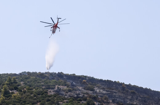 Φωτιές: Τέσσερις προσαγωγές υπόπτων για εμπρησμούς σε Αυλώνα και Μενίδι 