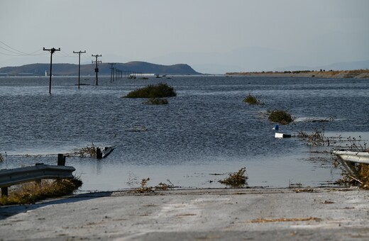 Θεσσαλία: Συναγερμός για τη λίμνη Κάρλα – Υγειονομική «βόμβα» τα νεκρά ζώα