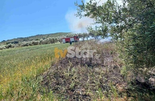 Φωτιά στην Αλίαρτο Βοιωτίας: Δύο αεροσκάφη για την κατάσβεσή της